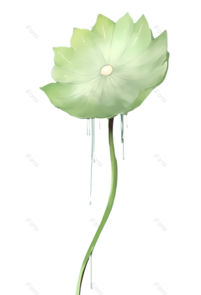 叶子图片,夏至元素,元素PNG,荷花免抠素材